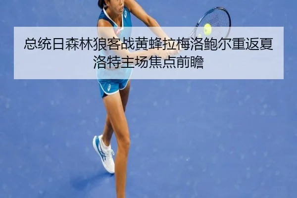 总统日森林狼客战黄蜂拉梅洛鲍尔重返夏洛特主场焦点前瞻